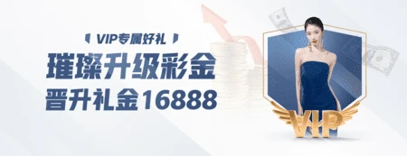 教练团队