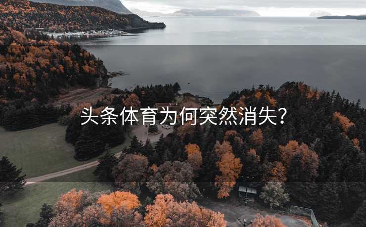 头条体育为何突然消失? 头条体育为何突然消失?