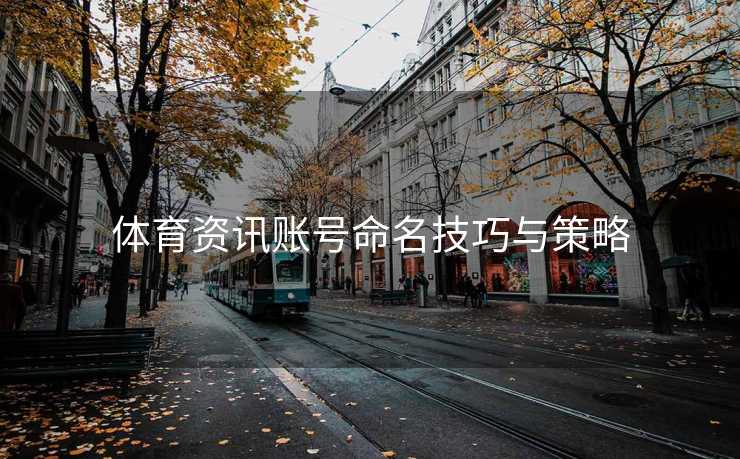 体育资讯账号命名技巧与策略