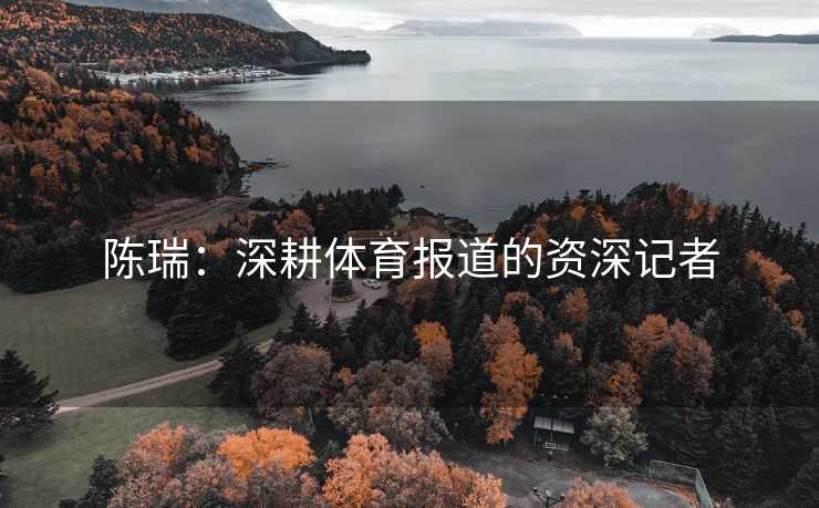 陈瑞：深耕体育报道的资深记者